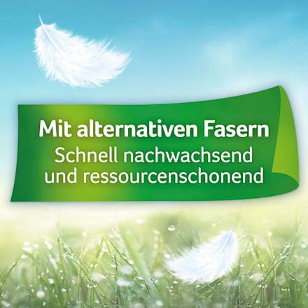 Toilettenpapier Ultra Soft 4-lagig (8x150 Blatt) Zewa