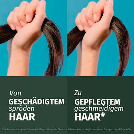 Shampoo Repair Arganöl Herbal Essences