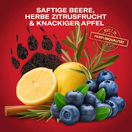 Deostick Bearglove Old Spice
