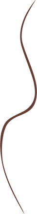 Slim Liner Waterproof tuš za oči - 020 BOURJOIS PARIS
