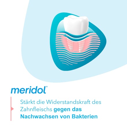 Zahnpasta Zahnfleischschutz meridol