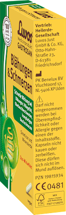Gastrosan Blähungen & Schmerzen Kapseln Luvos Heilerde