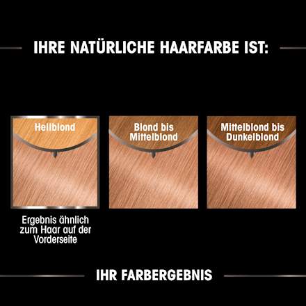 dauerhafte Haarfarbe - Nr. 9 G Kühles Hellblond GARNIER olia
