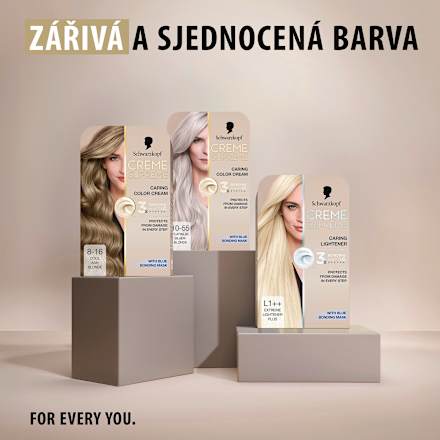 barva na vlasy Creme Supreme 8-16 Chladná popelavá světlá blond Schwarzkopf CREME SUPREME
