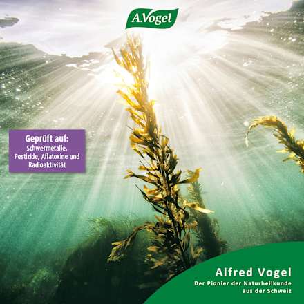 Kelp - Jod Meeresalgen-Tabletten A.Vogel