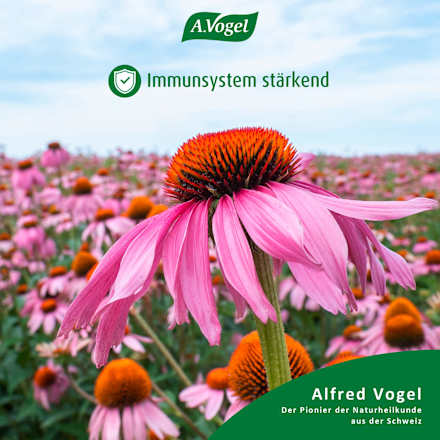 Salviaforce Halspastillen A.Vogel