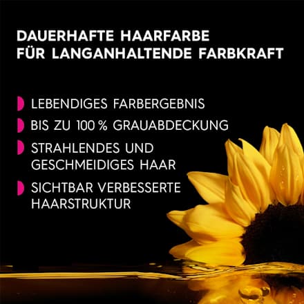 dauerhafte Haarfarbe - Nr. 3.23 Dunkle Schokolade GARNIER olia