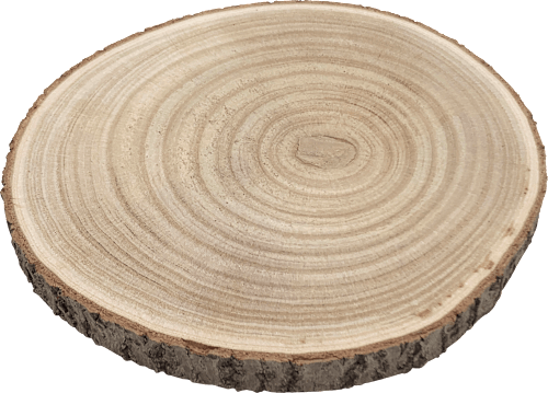 Holzscheibe Dekorieren & Einrichten