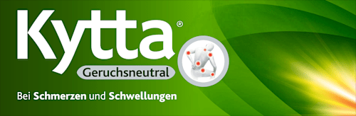 Kytta Geruchsneutral 350 mg/g Creme mit Beinwellwurzel-Fluidextrakt Kytta