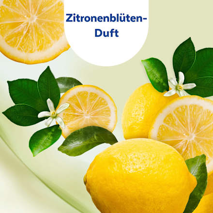 Desinfektionstücher 2in1 für unterwegs Zitrone (2x15 St) Sagrotan