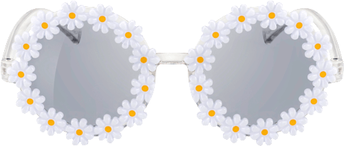 Sonnenbrille Gänseblümchen SUNDANCE