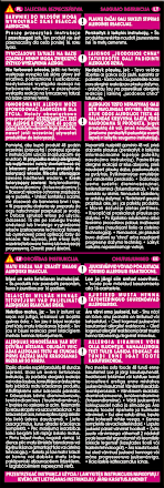 Farba do włosów jasny brąz 6.0 GARNIER olia