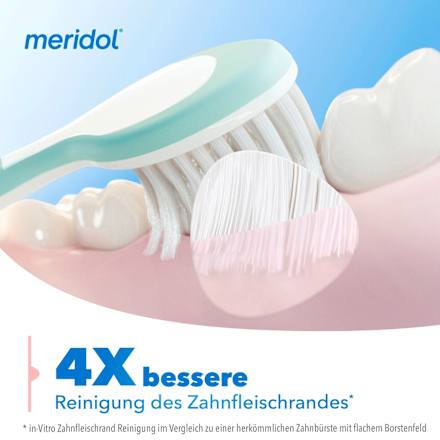 Zahnbürste Zahnfleischschutz sanft (Doppelpack) meridol