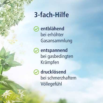 Magen Darm Entspannung Kapseln Klosterfrau