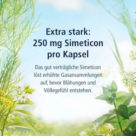 Magen Darm Entspannung Kapseln Klosterfrau