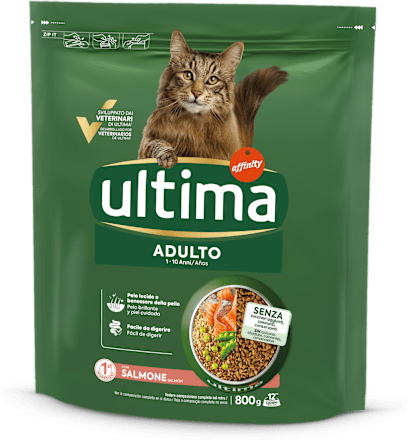Cibo secco per gatti con salmone ultima