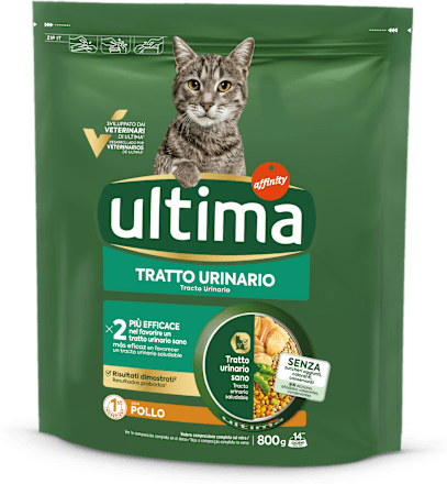 Cibo secco per gatti con pollo per un tratto urinario sano ultima