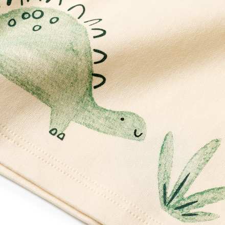 Set mit Langarmshirt mit Dino-Motiv & Hose mit Mitwachsfunktion, beige + grün, Gr. 68 ALANA