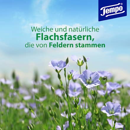 Feuchtes Toilettenpapier mit Meeresmineralien Tempo