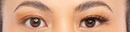 Künstliche Wimpern Volume Fox Eye Look 098 (1 Paar) Eylure