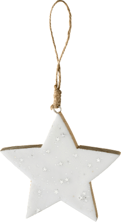 Holzstern mit Sterne, weiß BOLTZE