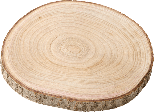 Holzscheibe Dekorieren & Einrichten