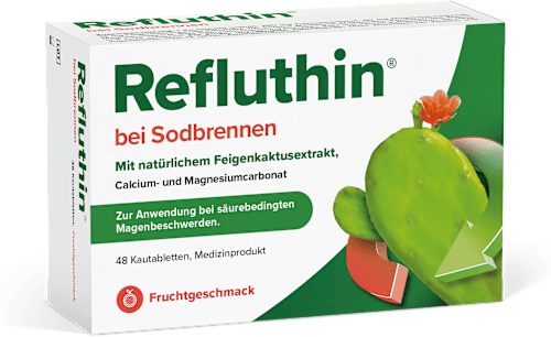 Refluthin Kautabletten Frucht Refluthin