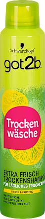 Trockenwäsche Trockenshampoo Sofort-Frische Extra Frisch got2b