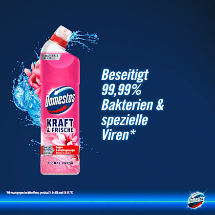 WC-Reiniger Gel Kraft & Frische Floral Fresh  Domestos