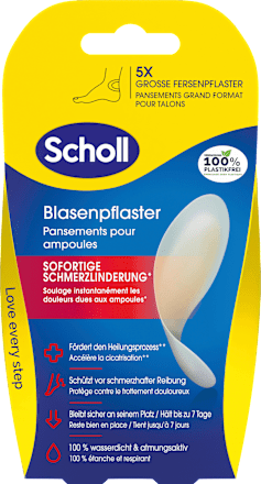 Blasenpfaster Scholl