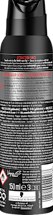 Bodyspray Attraction Force Fa Men