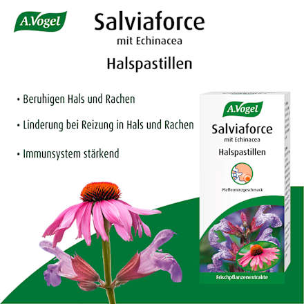 Salviaforce Halspastillen A.Vogel