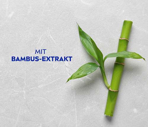 Shampoo Anti Schuppen NIVEA MEN