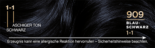 Haarfarbe 909 Blau-Schwarz Palette Intensive Color Creme