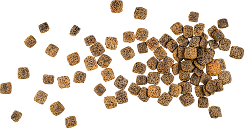 Trockenfutter Hund mit Kartoffel & Erbse, veggie Green Petfood