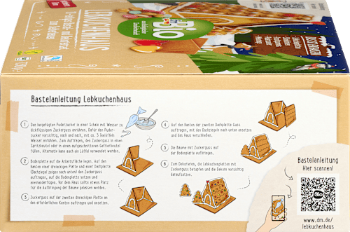 Kit casa din turta dulce dmBio