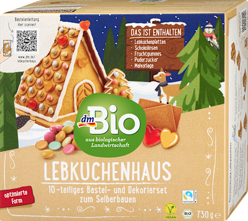 Lebkuchenhaus Bastel- und Dekorierset dmBio