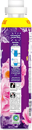 Weichspüler Blütentraum, 59WL Lenor