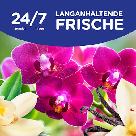 Weichspüler Vanille & Orchidee 59WL Softlan
