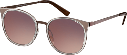 Metall-Sonnenbrille in Braun mit brauner Tönung SUNDANCE