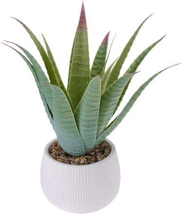 Kunstpflanze Aloe Vera BOLTZE