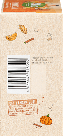 bio čaj Pumpkin Chai, 20x1,9g dmBio