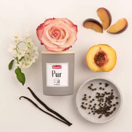 Duftkerze PUR kraftvoll grau Profissimo