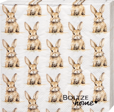 Servietten "Hase Hansi" (33x33 cm) BOLTZE
