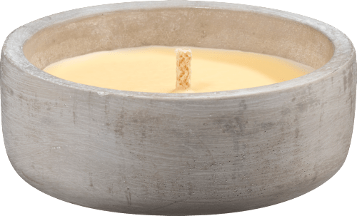 Citronella Zementschale Profissimo