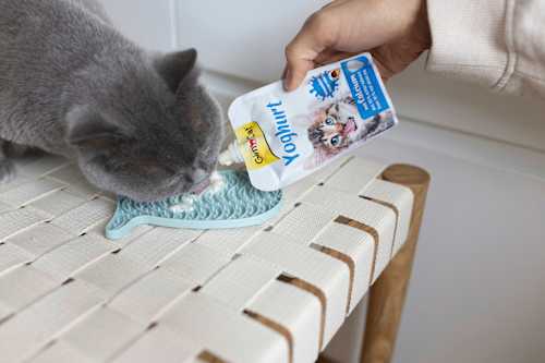 Nahrungsergänzung Katze, Joghurt  GimCat