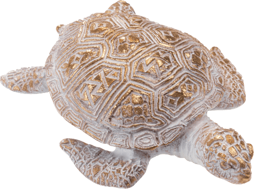 Schildkröte, weiß-gold BOLTZE