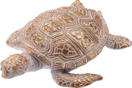 Schildkröte, weiß-gold BOLTZE
