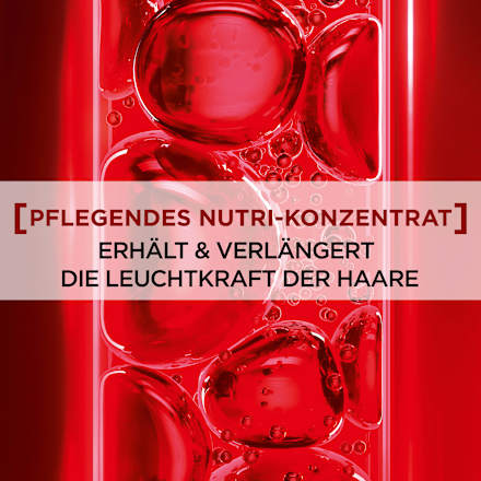 Color-Glanz Pflege-Shampoo L'ORÉAL PARiS ELVITAL