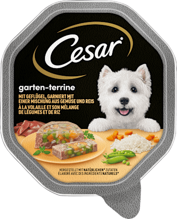 Nassfutter Hund Garten-Terrine mit Geflügel, Gemüse & Reis Cesar